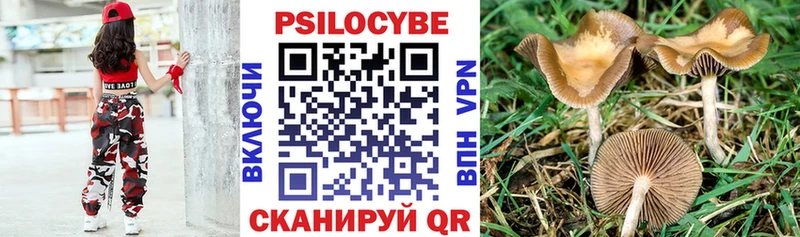 купить  цена  Сосновый Бор  Псилоцибиновые грибы прущие грибы 