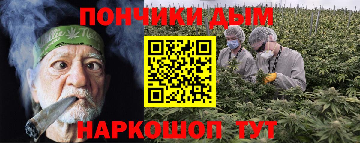 Каннабис AK-47 Сосновый Бор